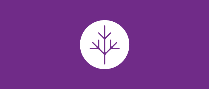 masthead_b_purple_5